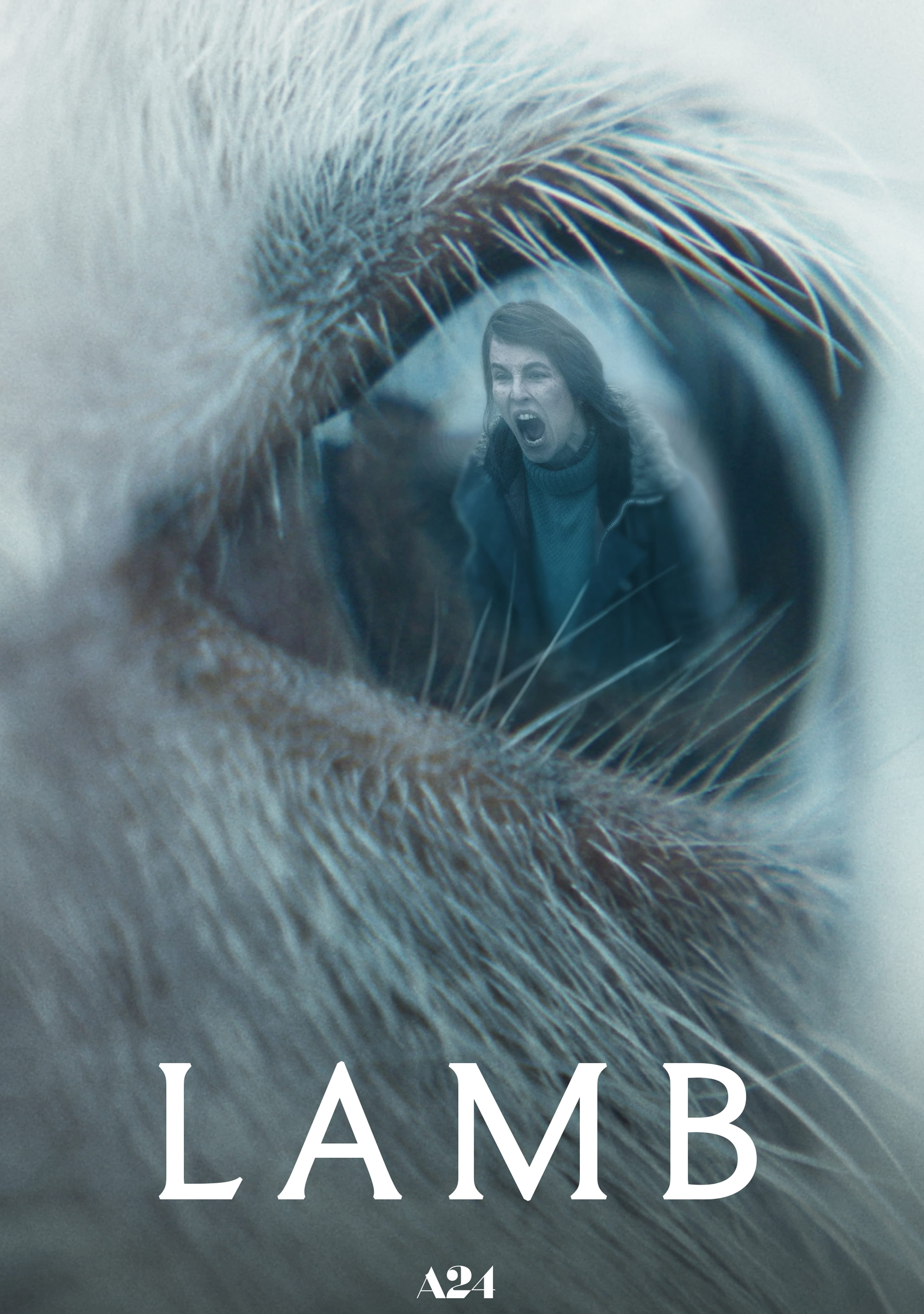 Lamb